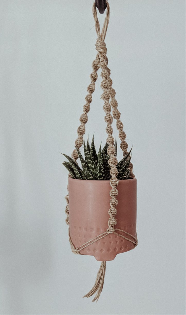 Mini Succulent Plant Hangers